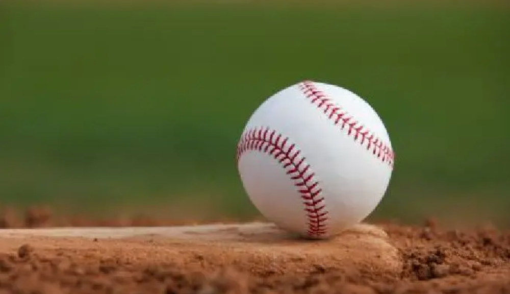 Tennessee high school baseball's season ends after pitch count violation wipes out hitter