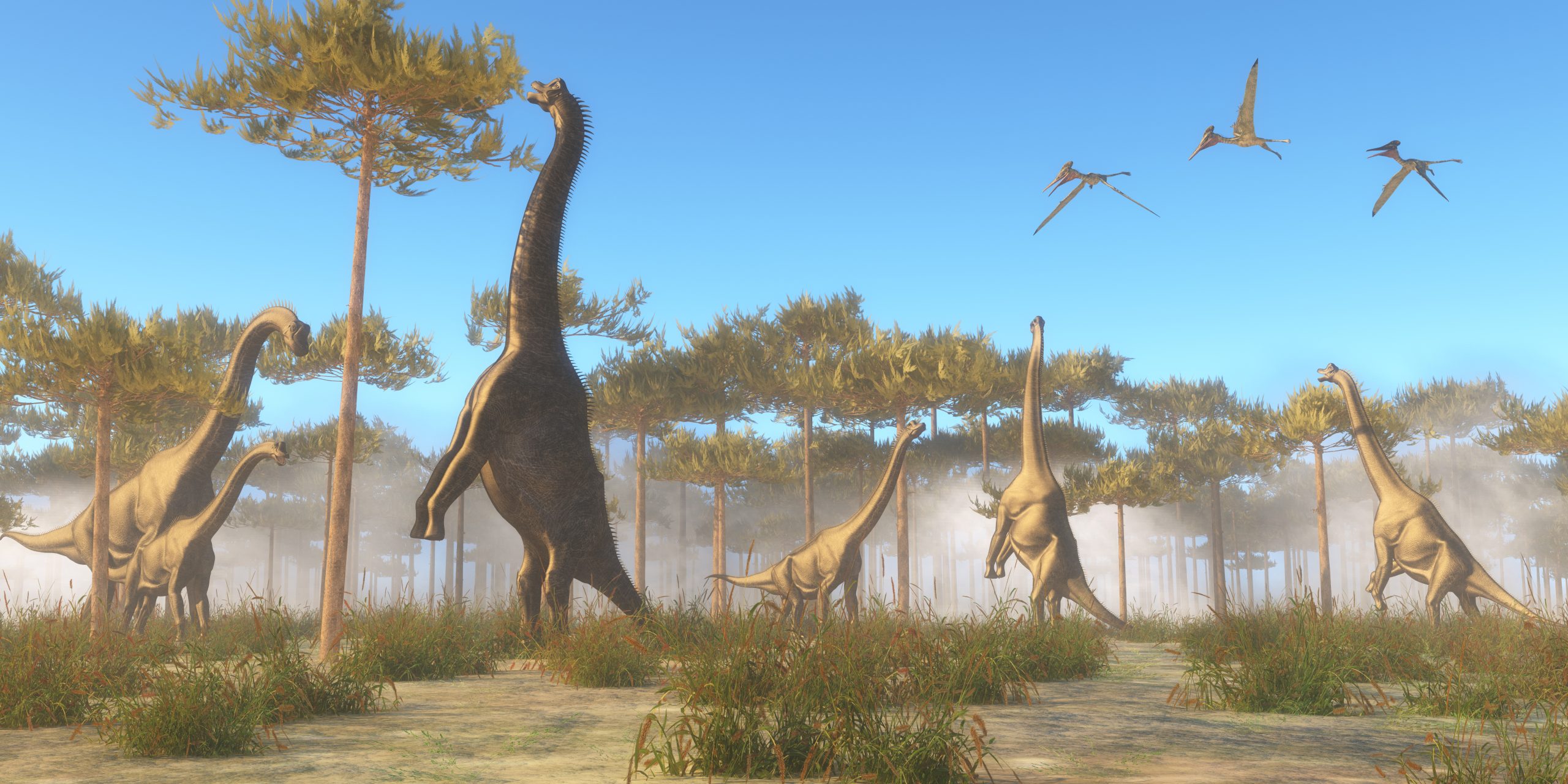 Herbivorous sauropods Plant-eating dinosaurs