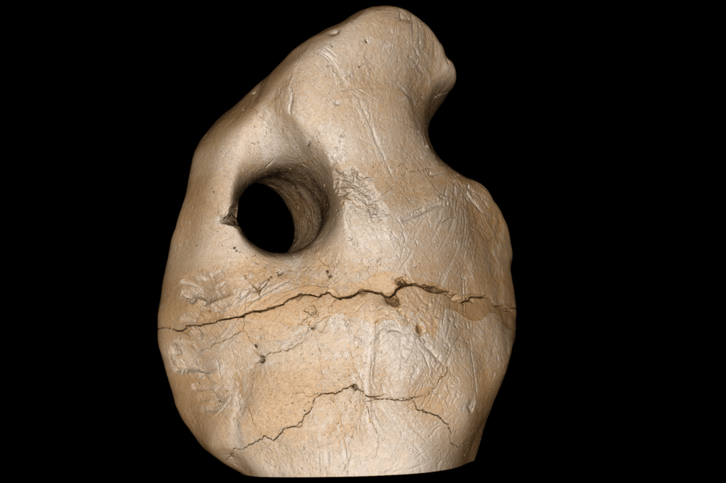 Early humans survived America's Ice Age, archaeologists say USA Daily Dose